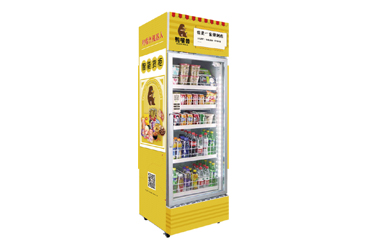 Visual door cabinet K5